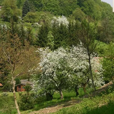Talblick In Traumhafter Lage! * Ober-Hambach