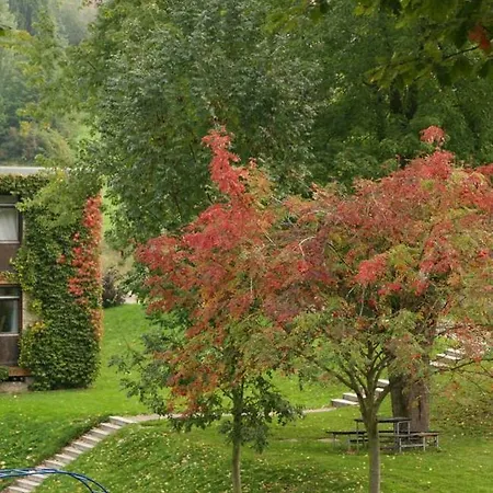 Talblick In Traumhafter Lage! *